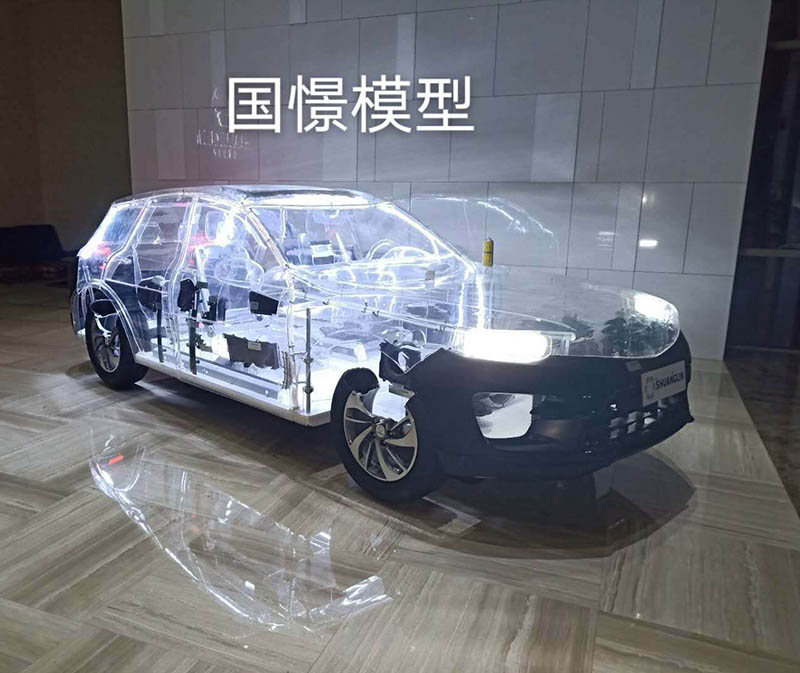泸州透明车模型